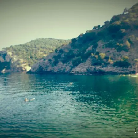 Kalikut Apartament *