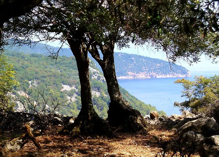 Apartamento Kalikut Beli