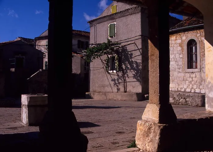 Kalikut Apartamento Beli