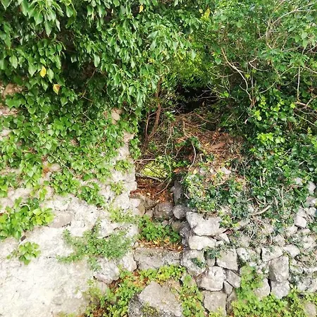 Kalikut Apartamento Beli