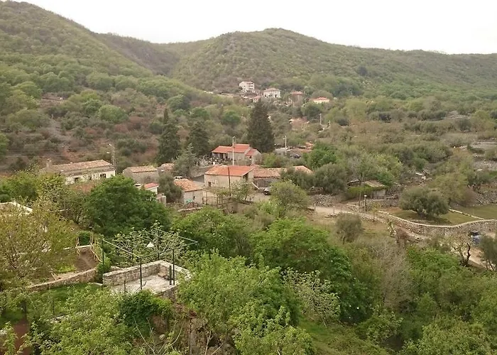 Kalikut 公寓
