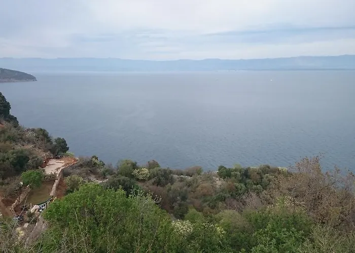 Kalikut *