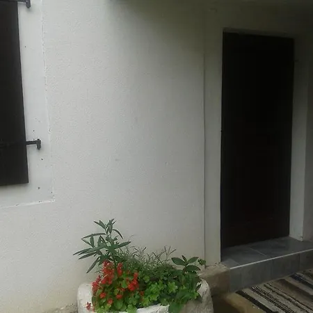 Kalikut