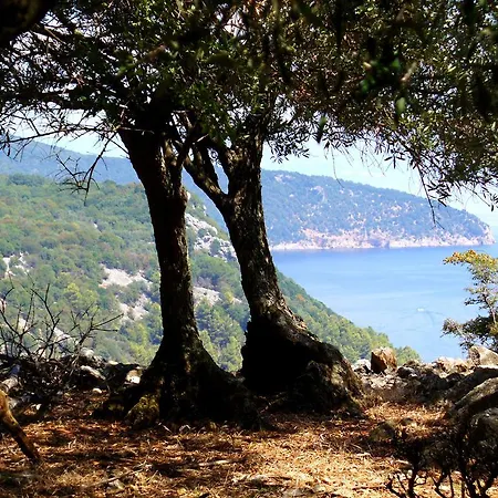 Apartmán Kalikut Beli