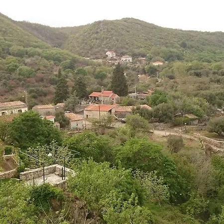 Kalikut Apartmán