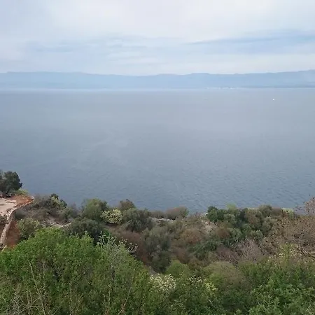 Kalikut *