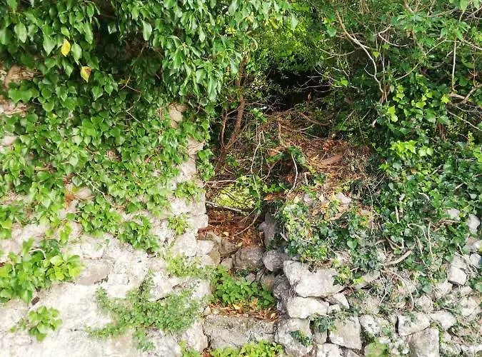 Kalikut アパート ベリ